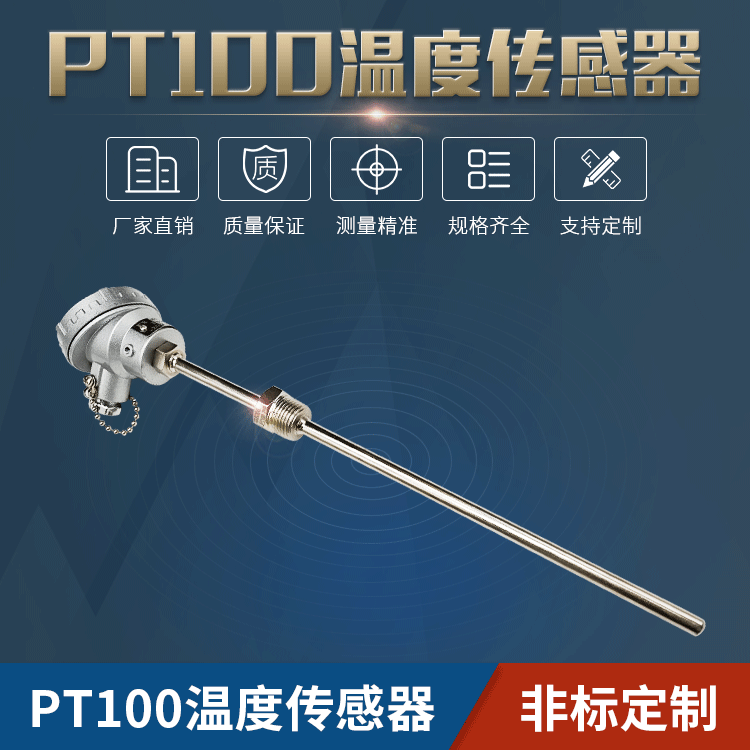 PT100铠装温度传感器